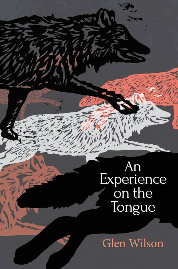 An Experience on the Tongue Poetry Book by Glen Wilson published by Doire Press