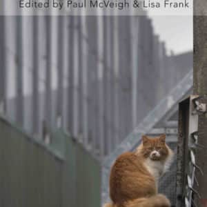 Belfast Stories Short Stories Fiction by Paul McVeigh & Lisa Frank published by Doire Press