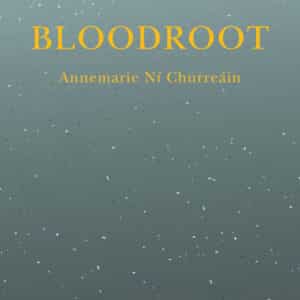 Bloodroot Short Fiction Book by Annemarie Ní Churreáin published by Doire Press
