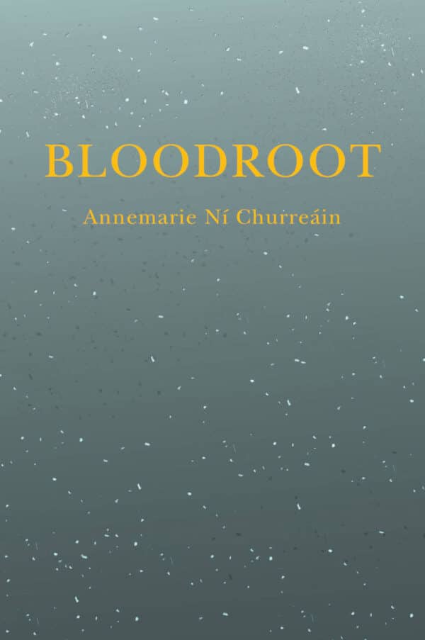 Bloodroot Short Fiction Book by Annemarie Ní Churreáin published by Doire Press