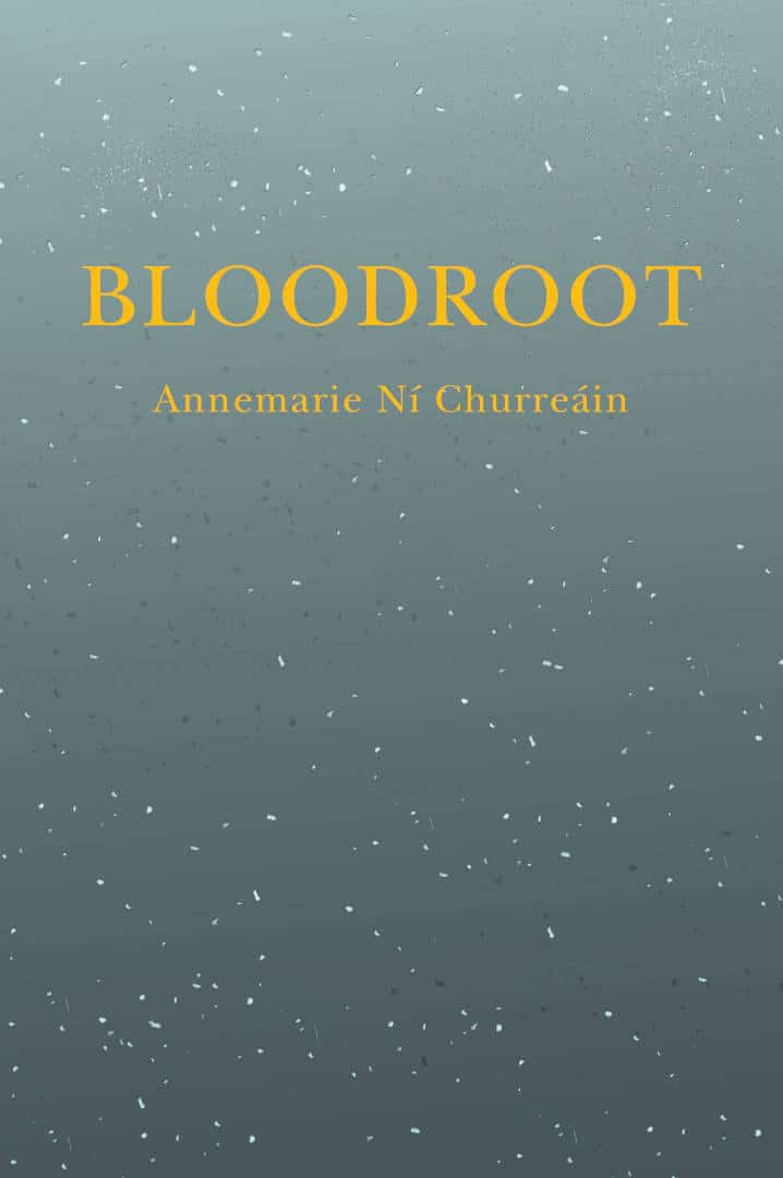 Bloodroot Short Fiction Book by Annemarie Ní Churreáin published by Doire Press