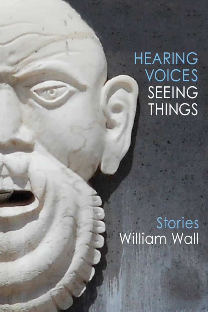 Hearing Voices, Seeing Things Short Fiction by William Wall published by Doire Press