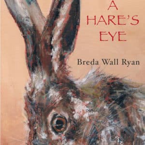 In a Hares Eye Cover 1920 Poetry Book by Breda Wall Ryan published by Doire Press