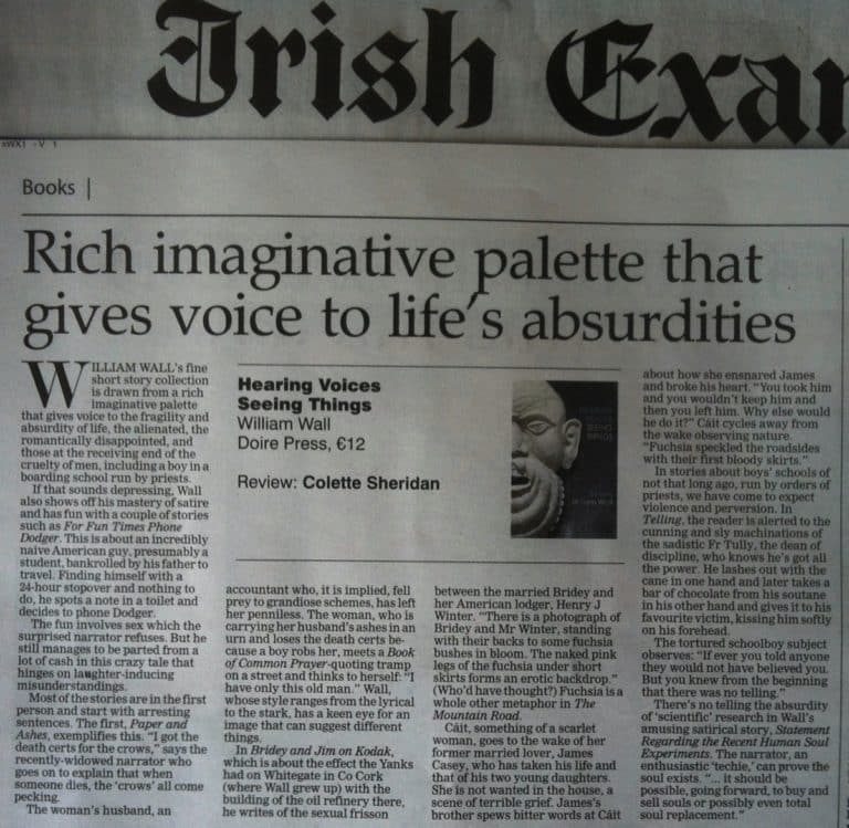 Irish Examiner review of Hearing Voices Seeing Things by William Wall