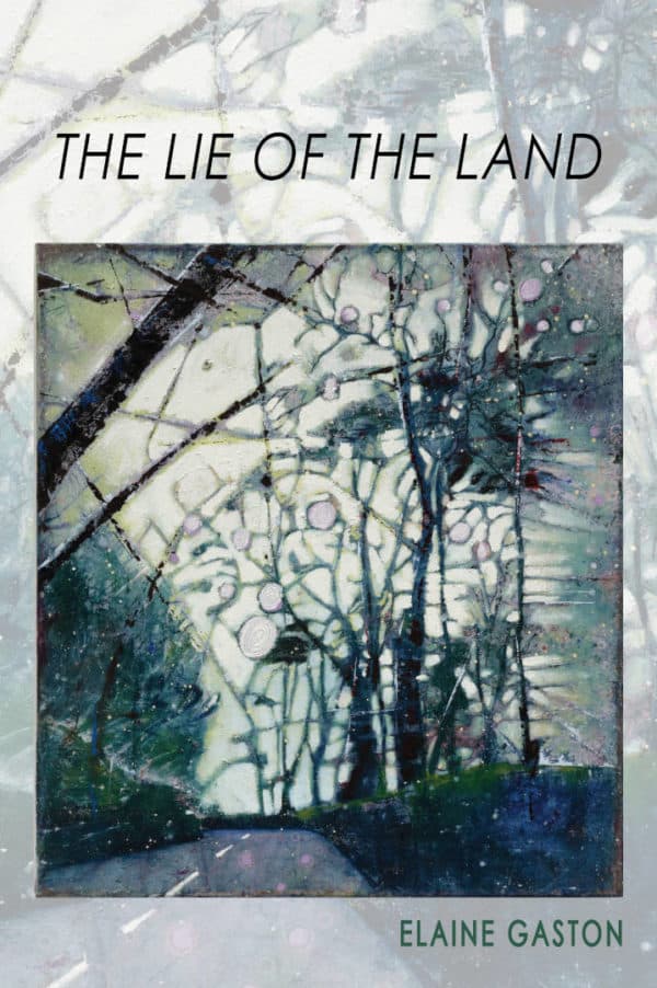 Lie of the Land Poetry Book by Elaine Gaston published by Doire Press