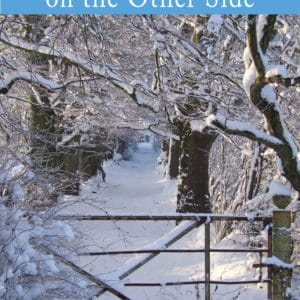 The Woman on the Other Side Poetry Book by Stephanie Conn published by Doire Press