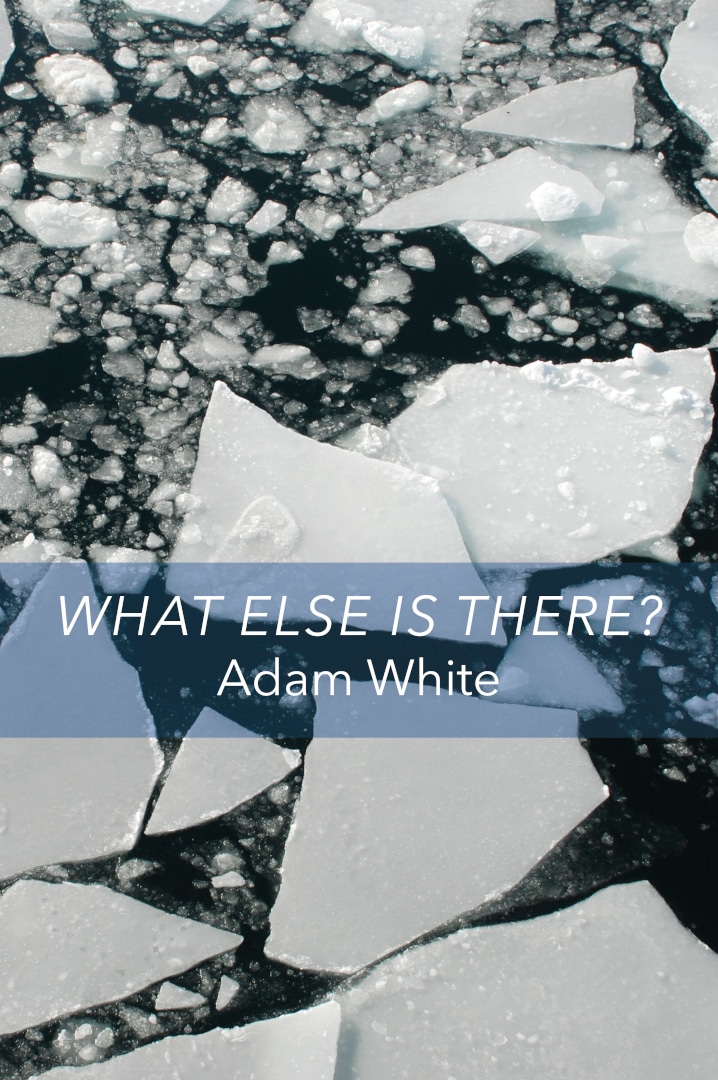 What Else Is There Poetry Collection by Adam White published by Doire Press