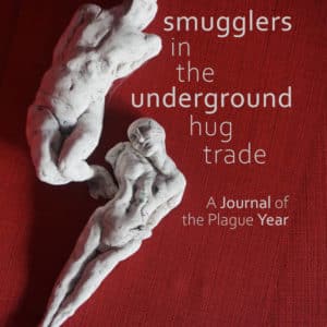 Smugglers in the Underground Hug Trade A Journal of the Plague Year Poetry book by William Wall Published by Doire Press