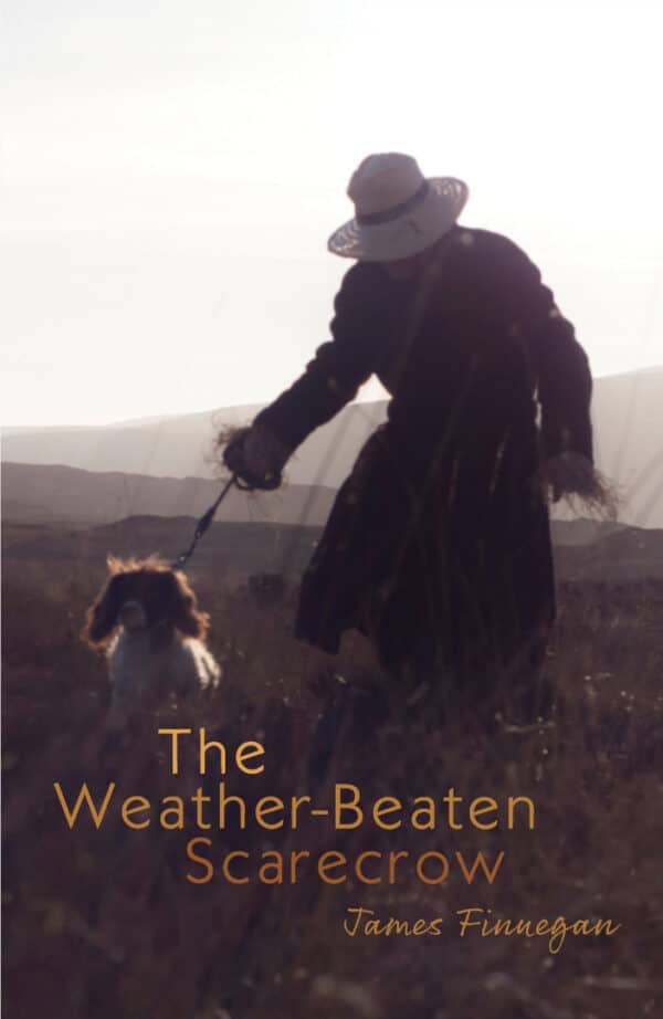 The Weather-Beaten Scarecrow By James Finnegan By Doire Press